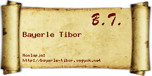 Bayerle Tibor névjegykártya