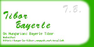 tibor bayerle business card